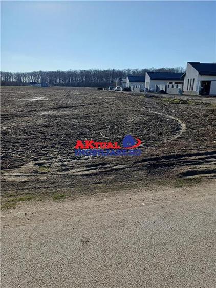 Vanzare Teren-8100mp-Domnesti -Teghes - 1