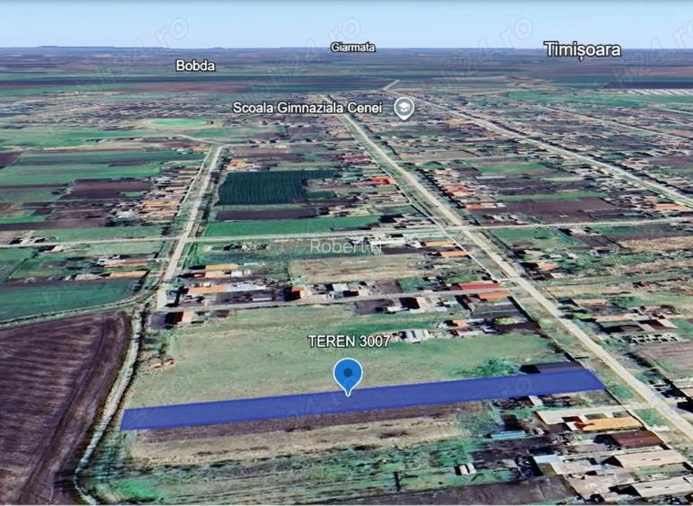 Teren INTRAVILAN de vanzare 3007 mp, Cenei