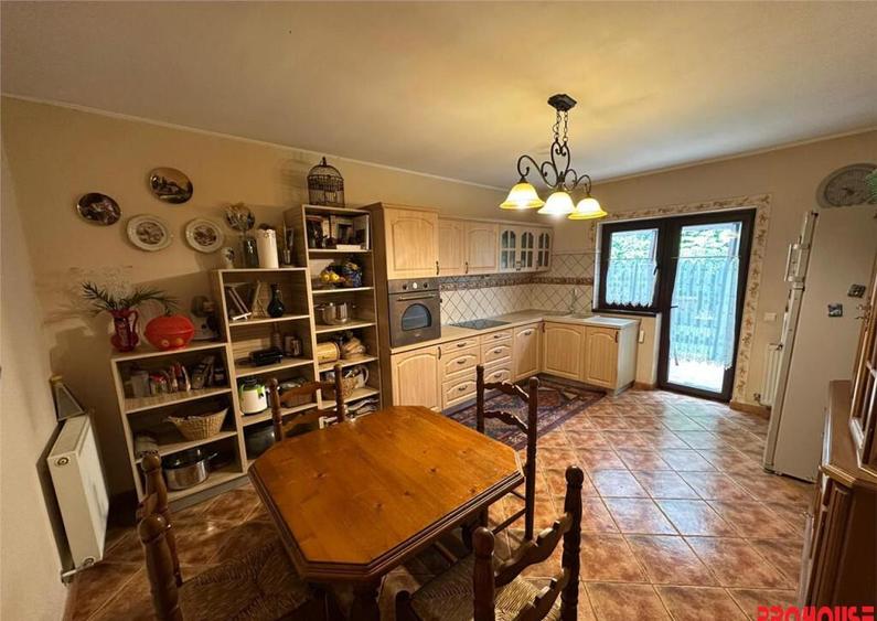 Casa deosebita in sat Podis - zona Dubas - 9