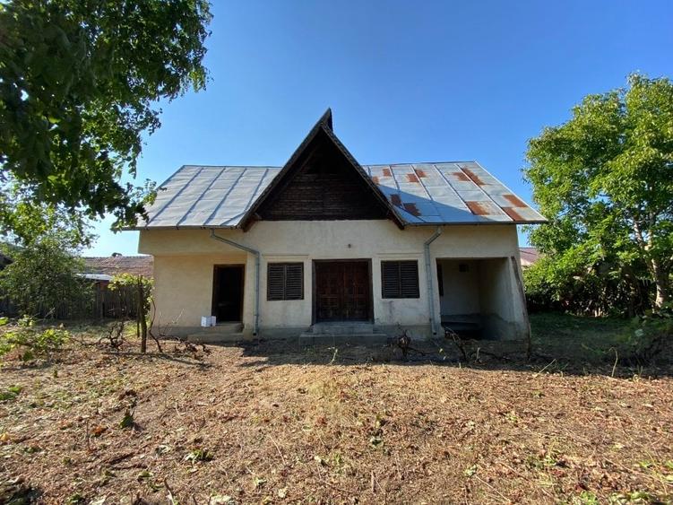 Casă de vânzare în satul Puțuri, comuna Castranova, județul Dolj - 1