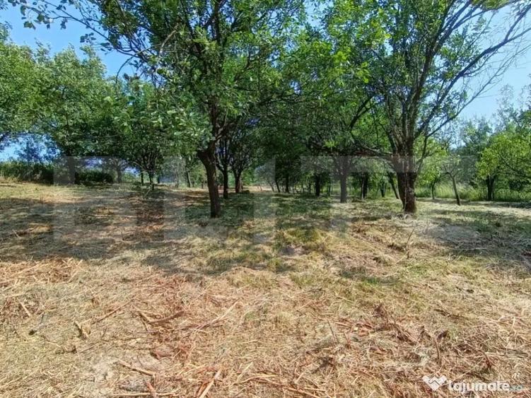 Casa cu 2 camere, 250 mp, zona sud-est - 2