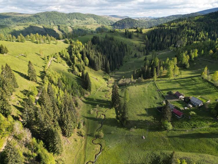 Teren de vanzare, Muntele Bocului Baisoara ,teren1000 mp - 9
