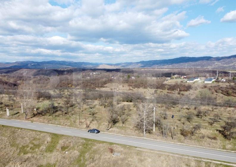 Teren Extravilan Valenii de Munte 11931 mp - 3