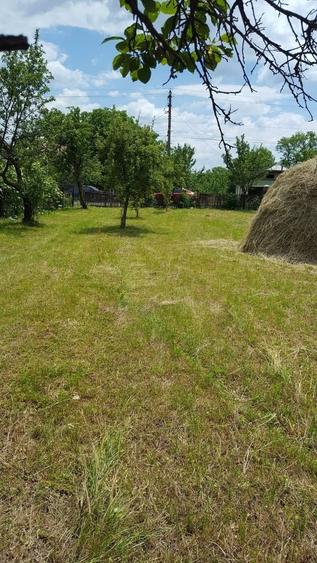 Teren intravilan împrejmuit 2331 mp la strada, toate utilitățile! - 3