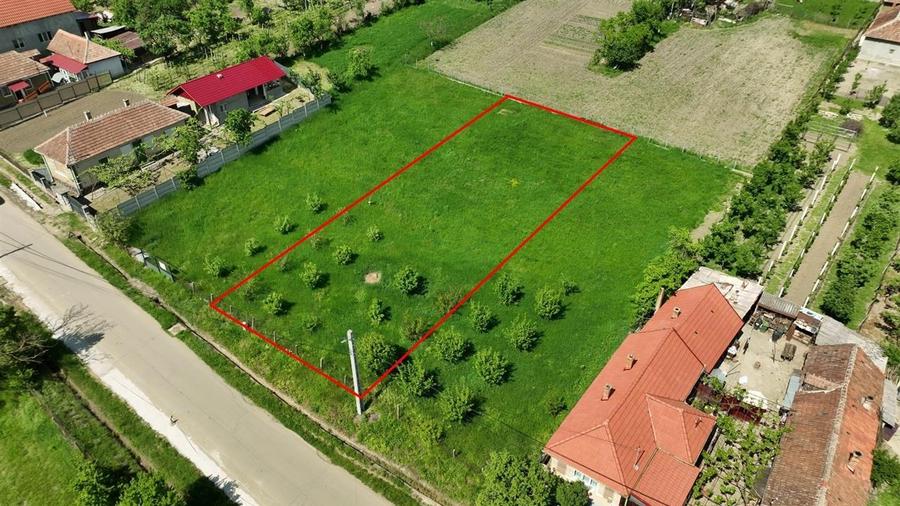 RECO . Teren intravilan in Betfia 2180mp . - 5