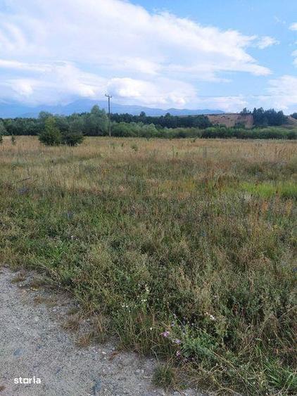 Vand teren pe Valea Avrigului - 3