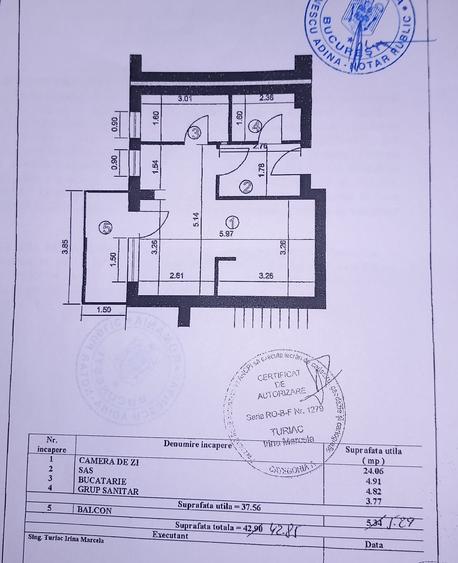 Cartier Brancusi ANL Coloana infinitului - 5