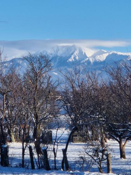 De vanzare teren extravilan - 1