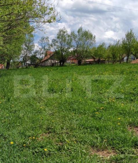 Teren intravilan, 1865 mp, de vanzare in Moieciu - Brasov - 5