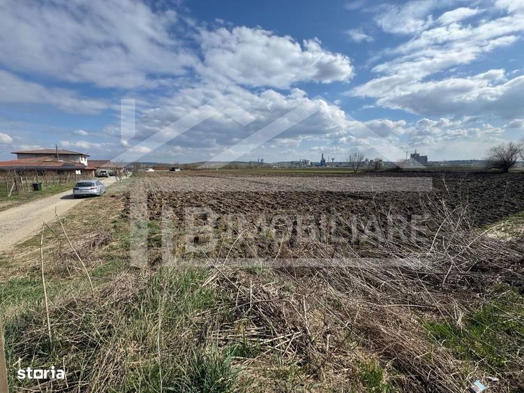 Teren de 501 mp, în Sâncraiu de Mureș
