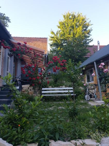 Casă cu 4 camere în Bica