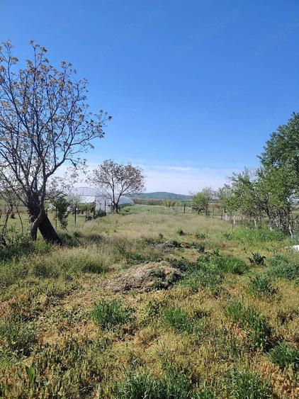 Casă cu Teren 3700 Mp în Alparea