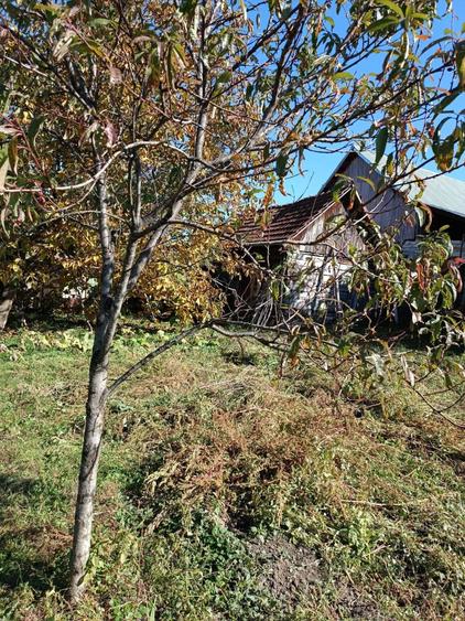 Casă cu 3 camere în Târnova