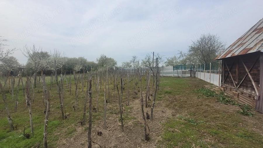 Casa de vanzare in satul Stoice?ti, comuna Bulze?ti, judetul Dolj - 2