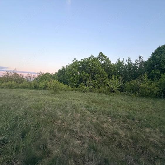Teren de 4647 mp, în Cozia