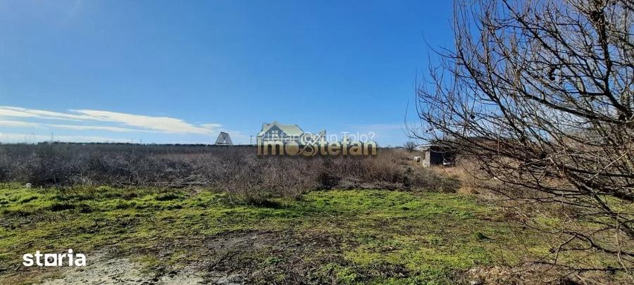 Teren Intravilan Vama Veche | 7.495 mp | Oportunitate Investi?ie