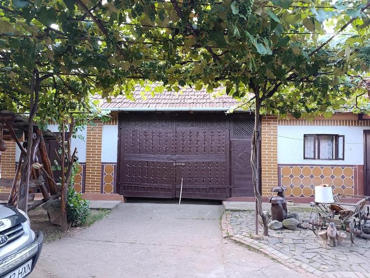 Casă cu 3 camere cu Teren 60 Mp în Inău