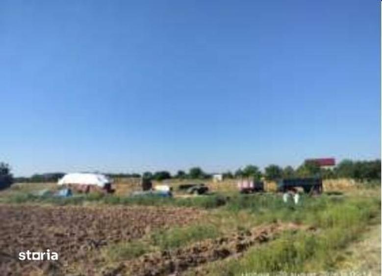 Teren de 5000 mp, în Ogrezeni