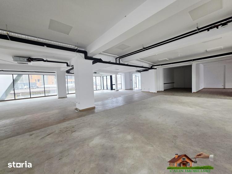 Spațiu comercial, de 560 mp, în Tătărași