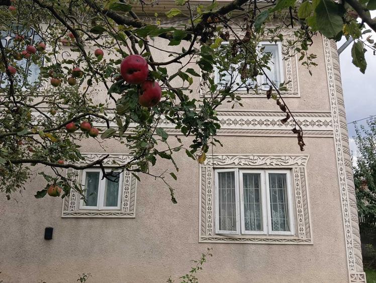 Casă cu 4 camere în Central