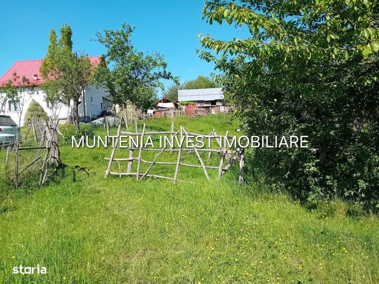 Teren 5596 mp. Com.Bradulet ,sat Galesu. - 2