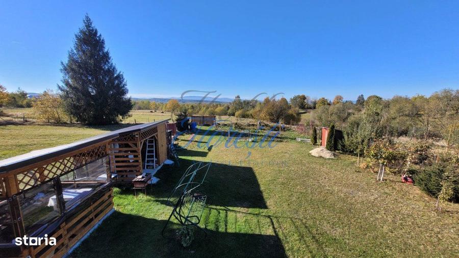 Cabana pe 2 nivele, 1600 mp teren, garaj, zona Rasca - 4