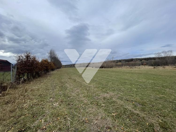 Teren intravilan pentru dezvoltare rezidentiala 4400 mp - 1