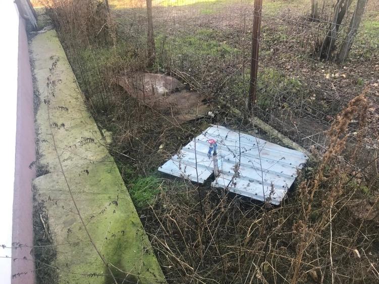 Casa (spațiu comercial) de vânzare Bălăceanu - 8