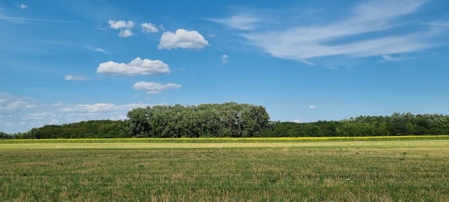 Loturi de teren 638 mp - curent tras la teren - Crevedia - 4