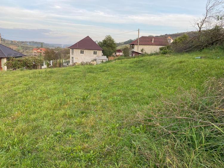 Teren intravilan de vânzare - ideal pentru construcția casei tale! - 3