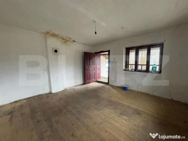 Casa cu 2 camere in Densus, 20 km de Manastirea Prinslop - 3