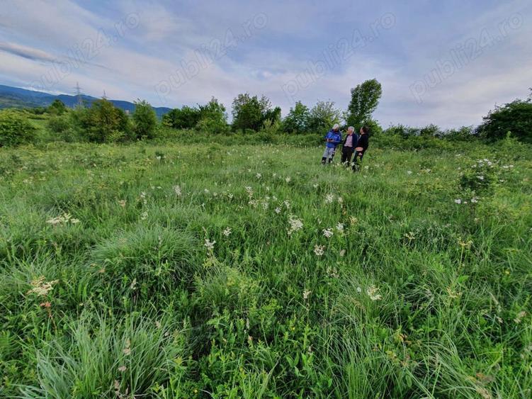 Teren Resita 4350 mp centura Resitei Terova-km 8 negociabil - 8
