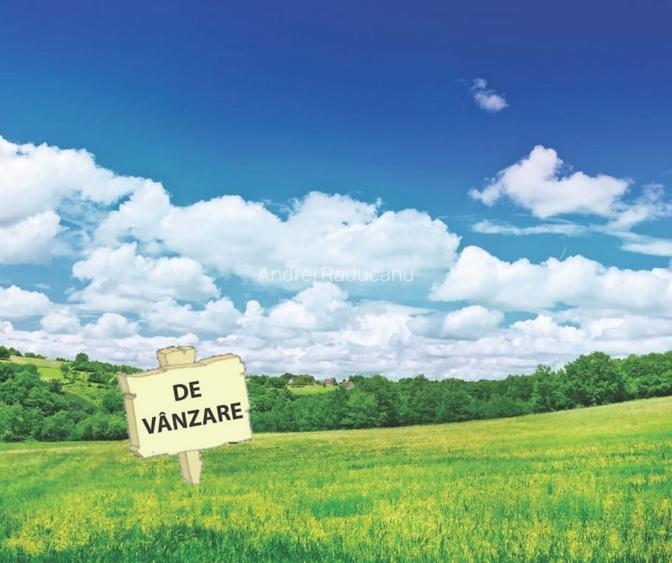 Teren Intravilan