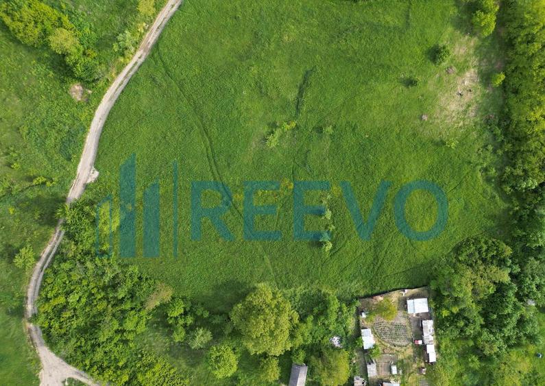 Teren de vanzare, Com. Racova, Str. Bradului, Bacau - 4