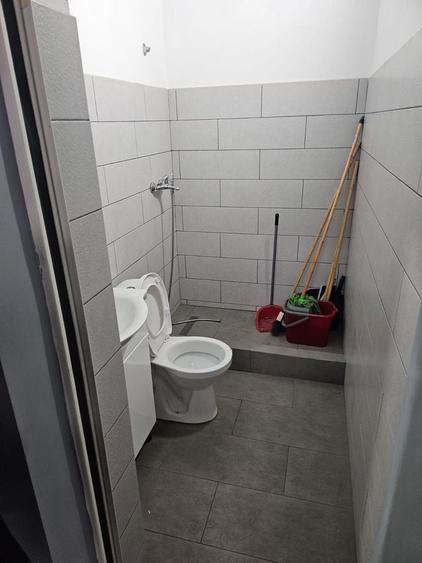 Hala lux detailing  auto 595 mp  Domnesti - 10