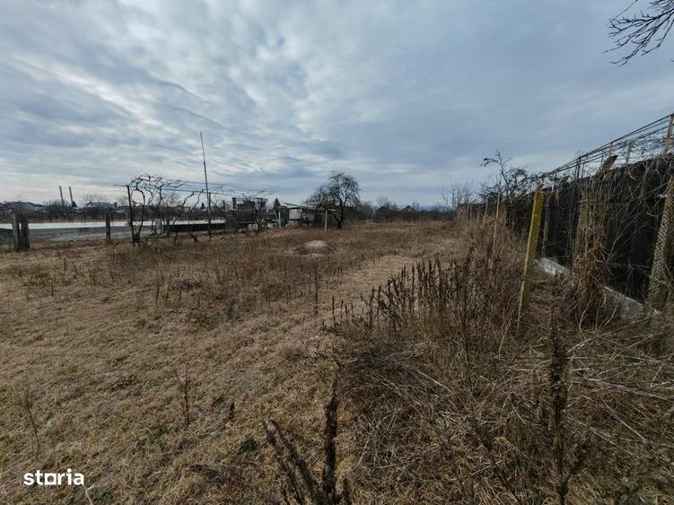 Teren constructii langa oras, Letea-Veche - 5