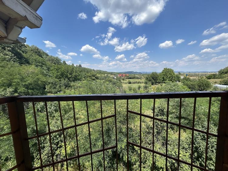 VAND O VILA IN PADUREA DIN FILIPESTI - 19