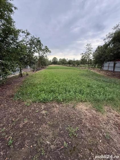 Casa de vanzare Com. Gavojdia - 4