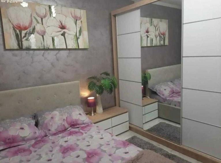 Vindem Ap 2 cam, decomandat Rogerius - 8