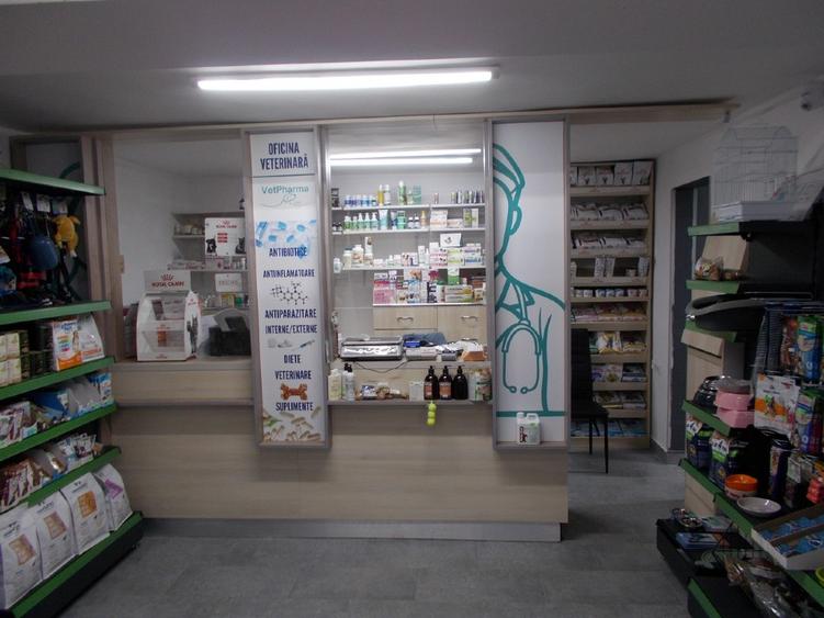 Casa cu spatiu comercial, Giarmata, 128mp util, teren 1670mp, com=0% - 9