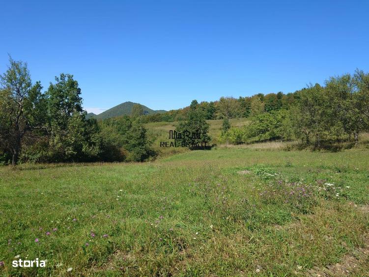 Teren de 8757 mp, în Luncoiu de Jos