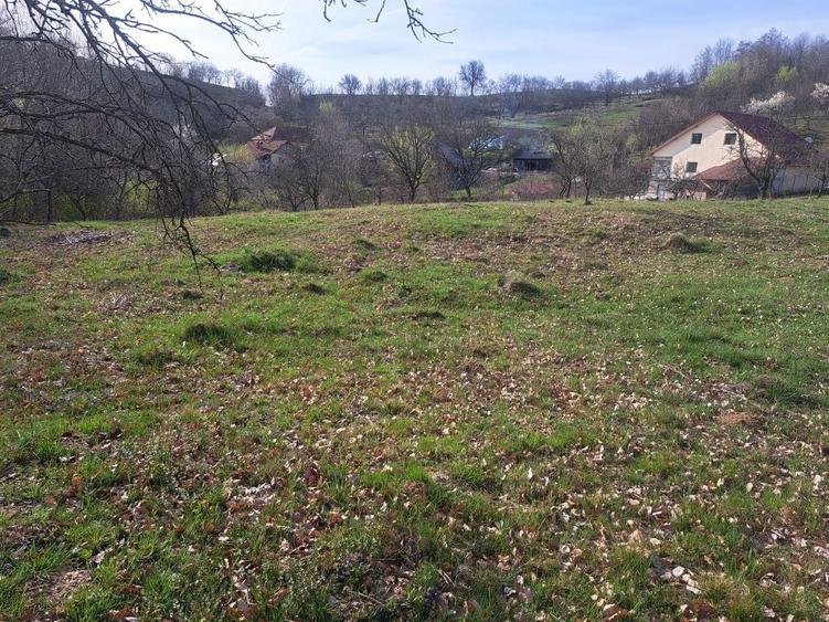 Teren si casuta Boteni - 1