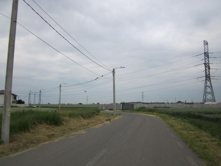 Domnesti-Narciselor - 15