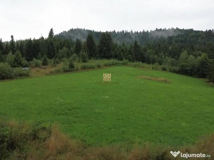 Teren 5023 mp In Bucovina Zona Manastirea Voronet De 07278 - 9