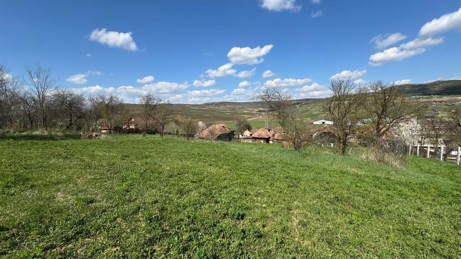 Casa de vanzare cu teren 53 ari - 1
