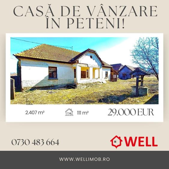 Casă de vânzare în Peteni! - 1