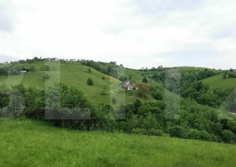Teren, 12.928 mp, Poiana Marului, Bra?ov - 5