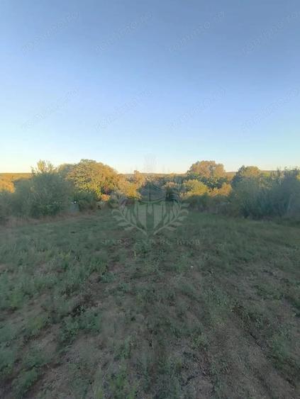 TEREN INTRAVILAN PLOPU//3000 MP - 3