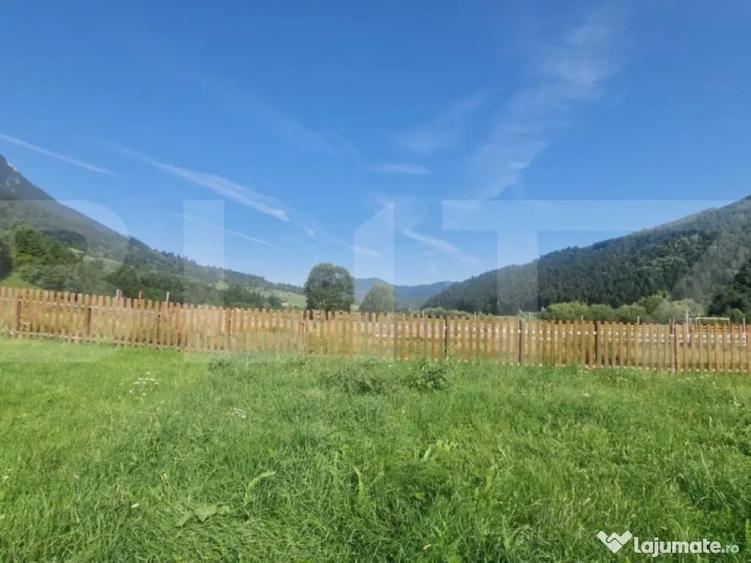 Teren Plaiul Foii, vedere spre muntii Bucegi si apa Barsa 10 - 3