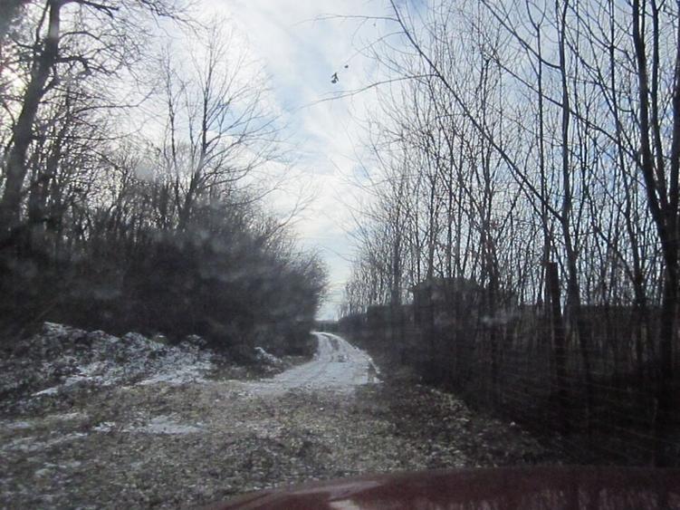 Domnesti-Teghes-Padure - 9